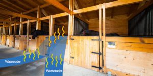 A water vein under a horse stall